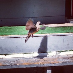 Allegory Of The Cave