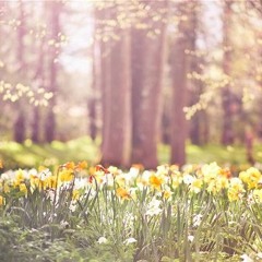Eimear - Spring Ray Of Sunshine (FREE)