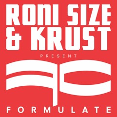 Roni Size & Krust - Formulate (DLR Remix)