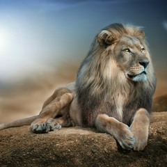 Denis denj_charlotte "skin" remix hot