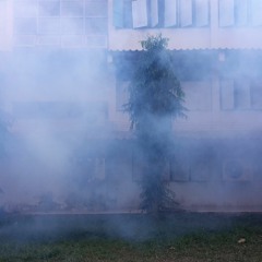 Origin (rough live version)