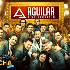 Aguilar Y Su Orquesta_LE HACE FALTA UN BESO
