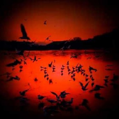 Worakls - When The Birds Go In The Wrong Way (Yowait Edit) // Free Download