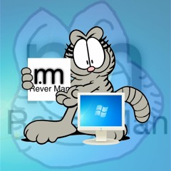 The Windows Triangle - All Windows remix feat Nermal Cat and OS Man