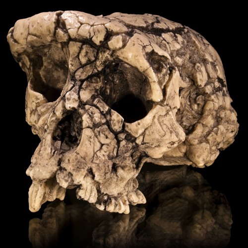 pytchblend - bOne