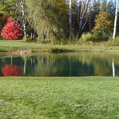 Reethigowla Ringtone 3.mp3