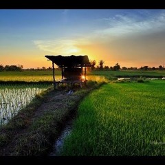 ความต้องการทางแพทย์สูง - พี สะเดิด