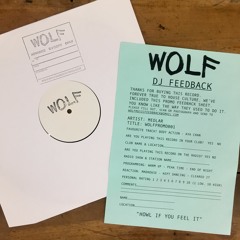 Medlar - Body Action (Preview)- WOLFPROMO001