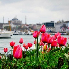 اغنية تركية - الطفلة التي أبكت الملايين