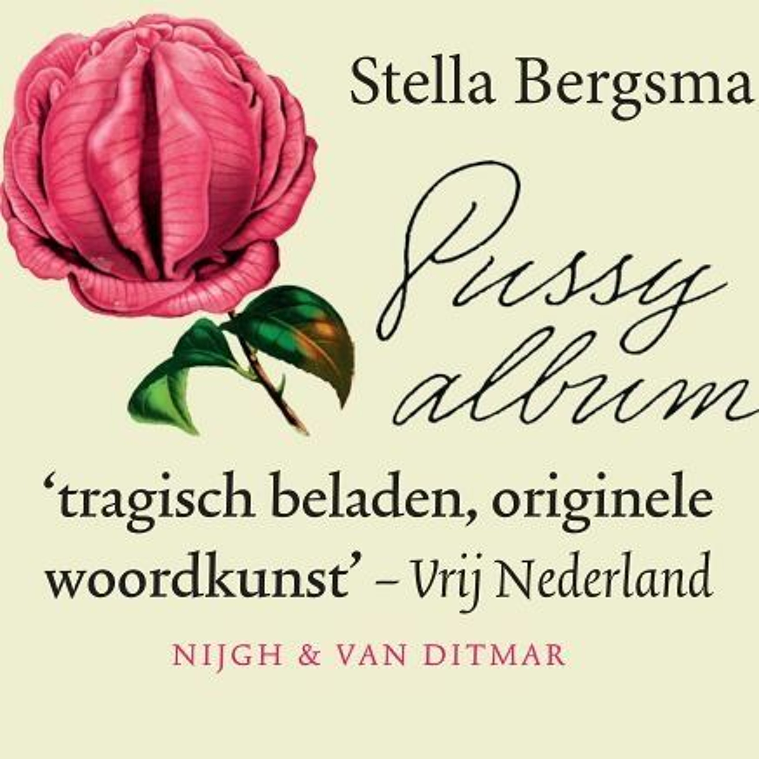 Boekenpodcast Het verhaal
