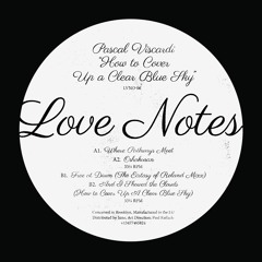 MWU EXCLUSIVE: Pascal Viscardi - Free At Dawn (The Ecstasy Of Roland Mixx)[Love Notes From Brooklyn]
