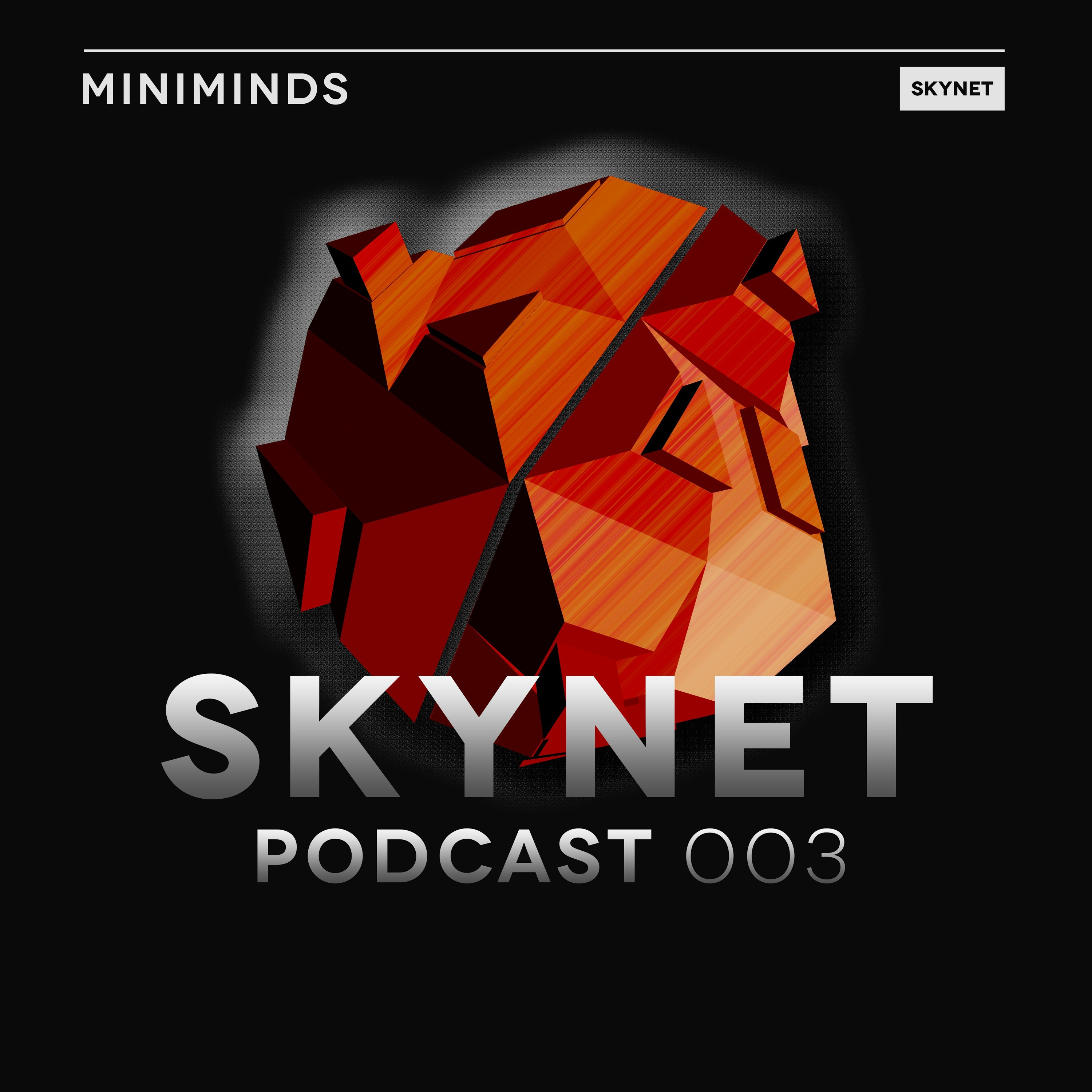 Skynet Podcast