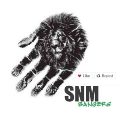 Antix Feat. Nomakhosi - Smile (The White N3rd Remix)