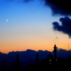 ربّ الورى