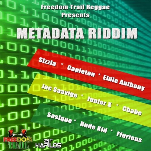Sizzla - Stand Up For Your Rights (Metadata Riddim)