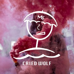Trial & Error Ft. Katie Laffan - Cried Wolf (Matt Franco Remix)