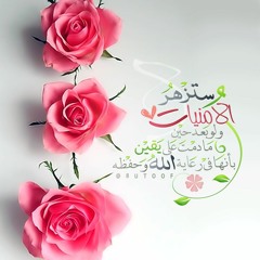 هزاع البلوشي - يوم تبدل الأرض غير الأرض والسماوات