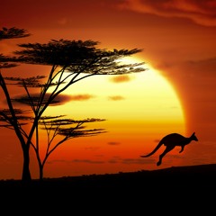 Follow The Sun