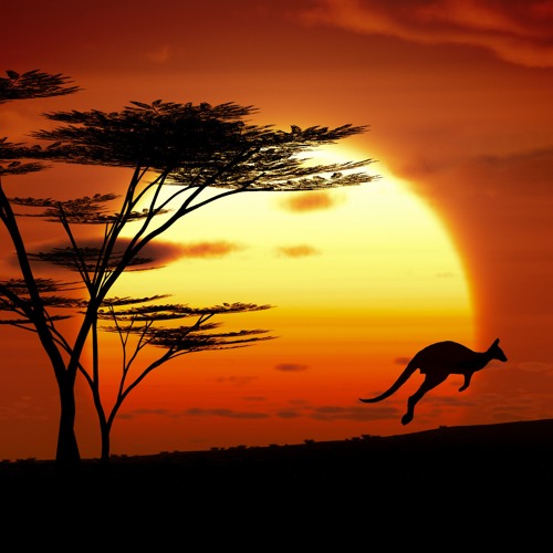 Follow The Sun