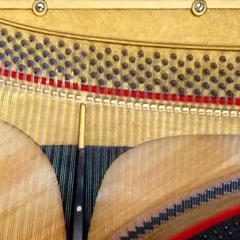 Suite 223 - Improvisation - April 14, 2016