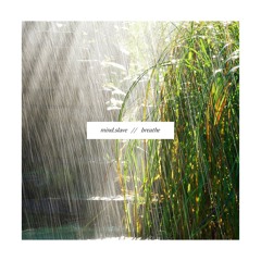 Constellations  - Burning Blossoms
