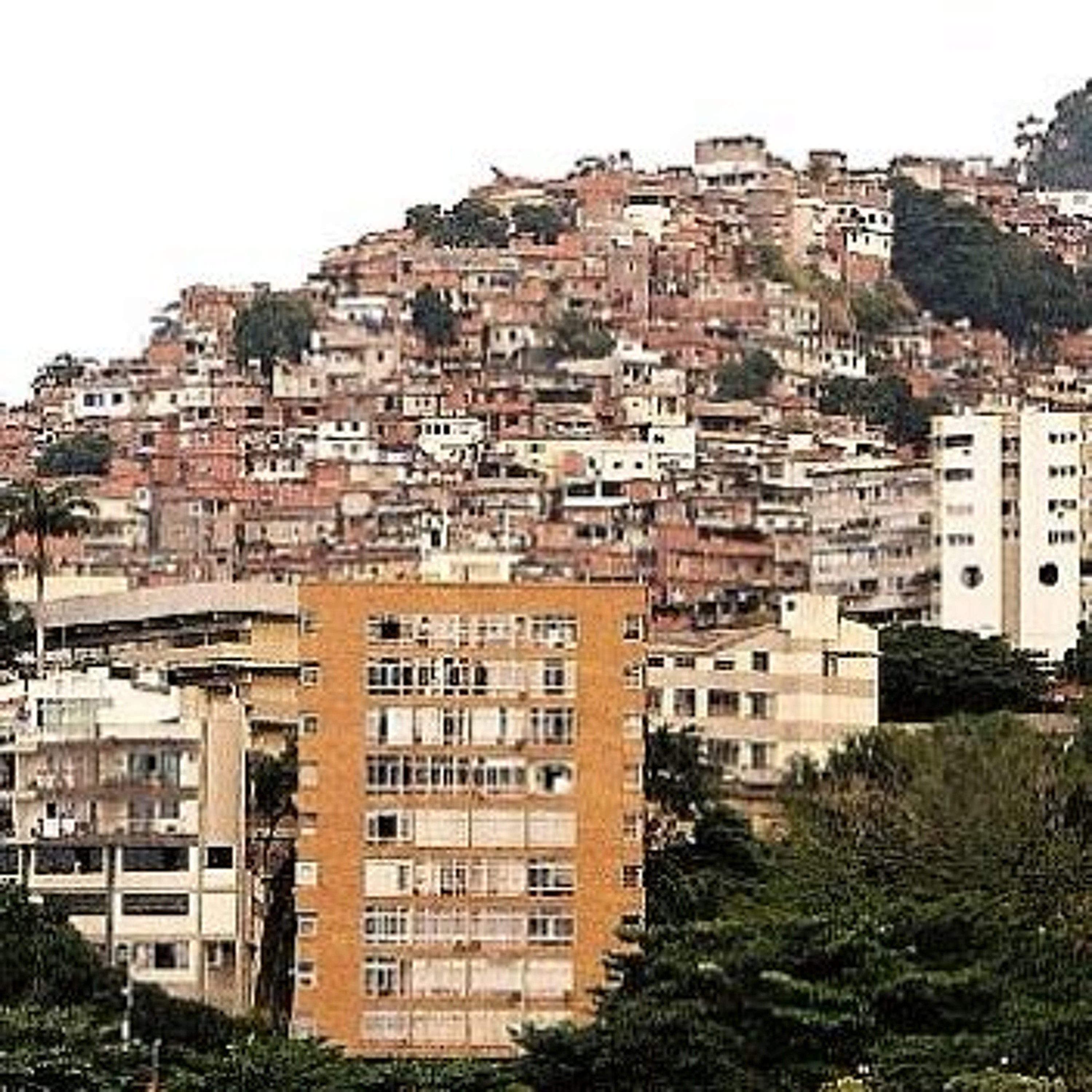DJ Nino do Vidigal ®