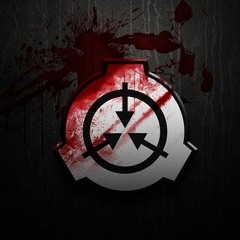 SCP Research Log [Item #: SCP-384]
