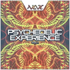 Psychedelic Experience Vol. 1 ProgressivePsytrance Version