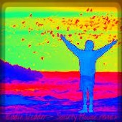 Eddie Vedder - Society House remix