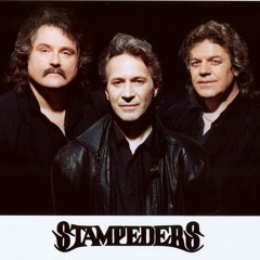 Wild Eyes - Stampeders