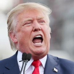 Crazy Trump