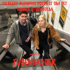 En blekt blondins podcast #2: Tusenbröder