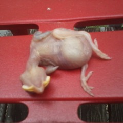 Sometimes You Need Me