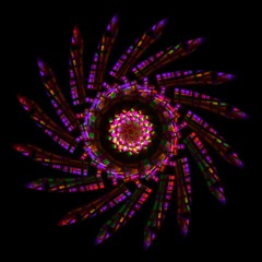 Flourish (In Binding)