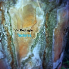 Vivi Pedraglio - Viva Jujuy