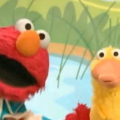 Elmo's Got Ducks