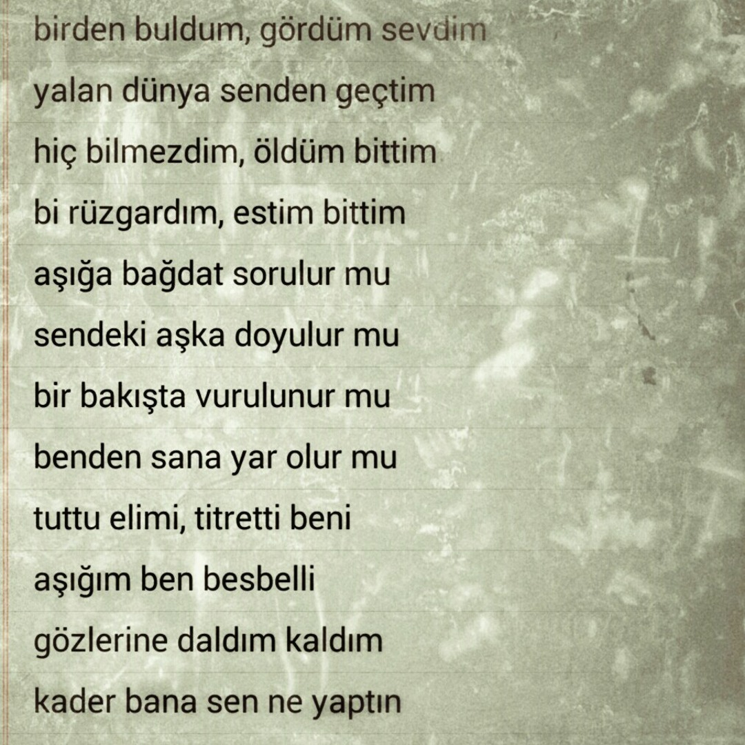 Uydagi yigitlarning azo surati Uydagi yigitlarning azo surati