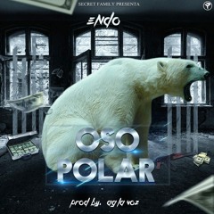 Endo - Oso Polar