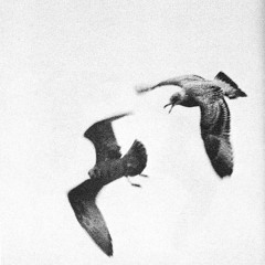 Saudade Disco-Fusion Mix