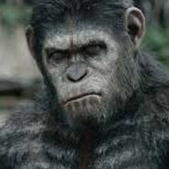 "Monkey See, But Don't Do", By Steven Pittman