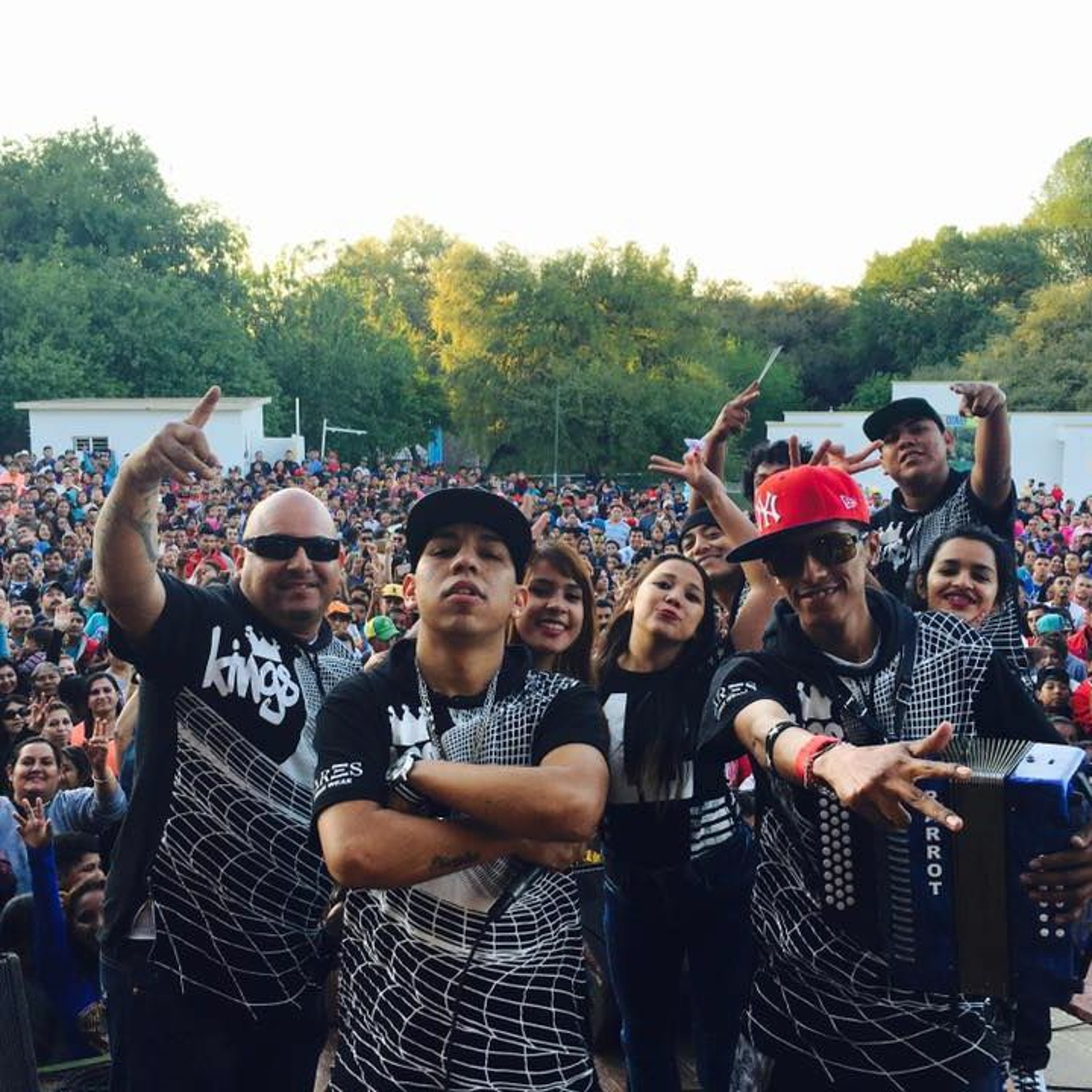 sonido-gorila