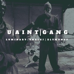 U Aint Gang-LUMINARY | KNALEJ | $LY MONEY