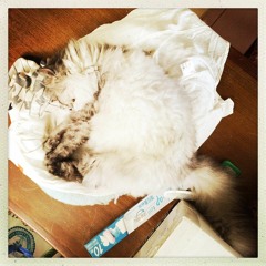 程璧 - 我想和你虛度時光 cover