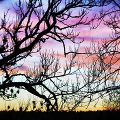 THE NIGHTMARE OF CONCRETE BOWERS