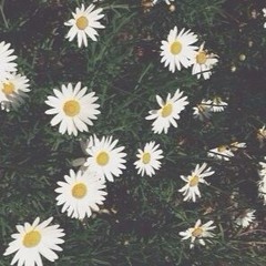 See You Again (cover)