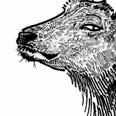 はっぴいえんど『春らんまん』