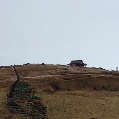 Take Shelter by Years and Years (full cover)