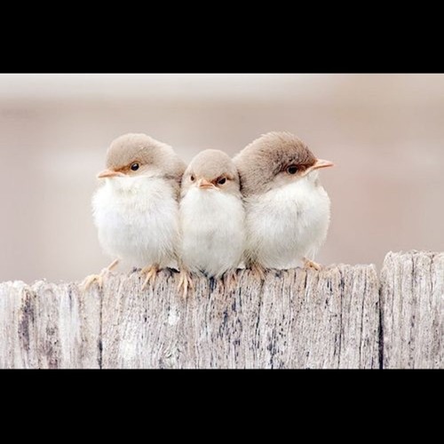 009 단어공부의 세가지 원칙