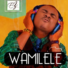 Wamilele