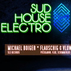 Sud House Electro Warm up Mix